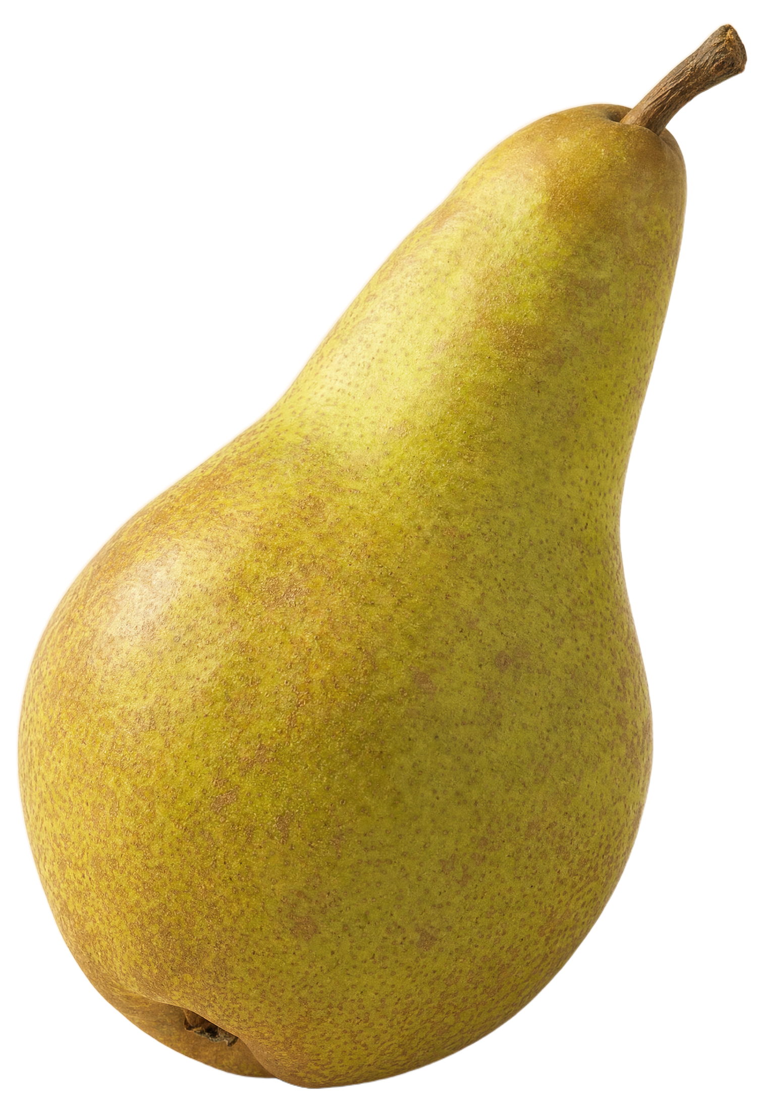 Świeża gruszka